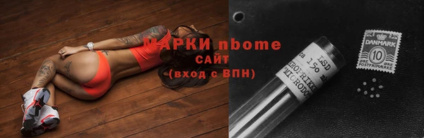 гидра Аркадак