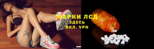 гидра Аркадак