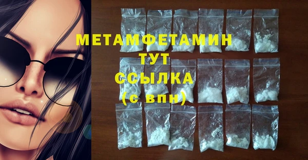 гидра Аркадак